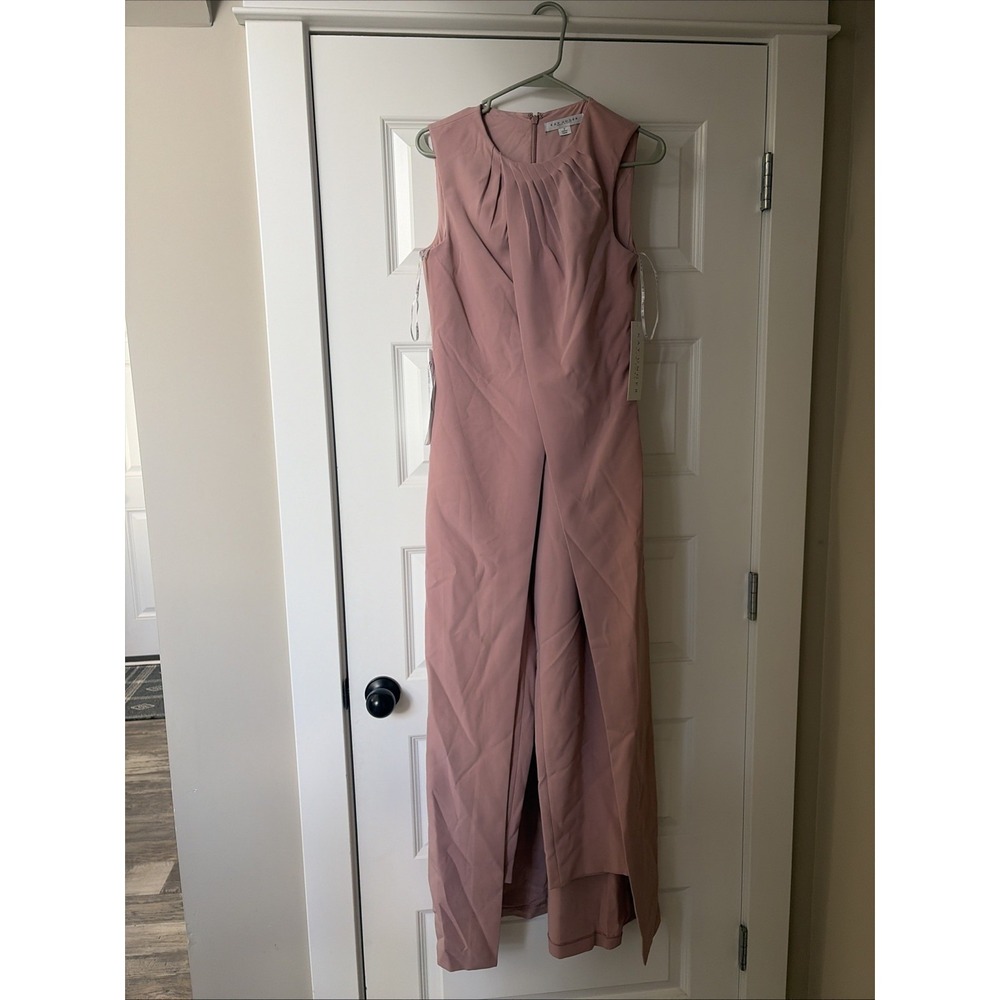Brand New with Tag Kay‎ Unger Walk Thru Jumpsuit Size 2 Mauve Pink